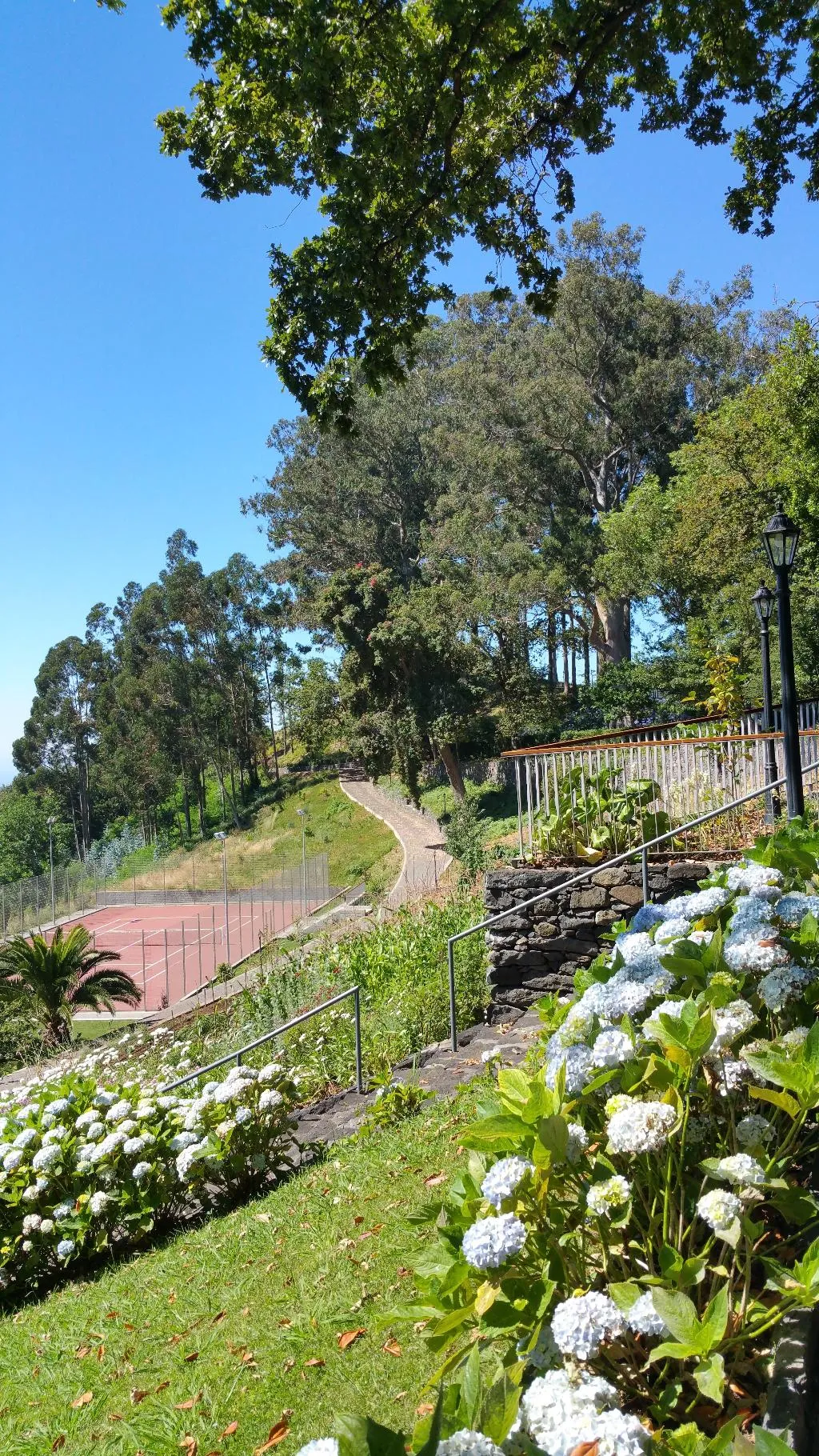 General view, Hotel Quinta da Serra - Bio Hotel, Madeira