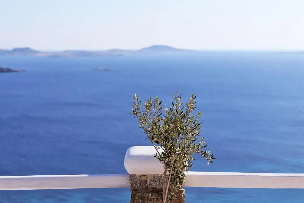 General view, La Maison Blanche, Mykonos