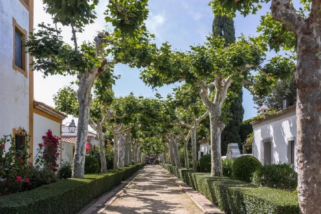 General view, El Cortijo de los Mimbrales, Costa De La Luz
