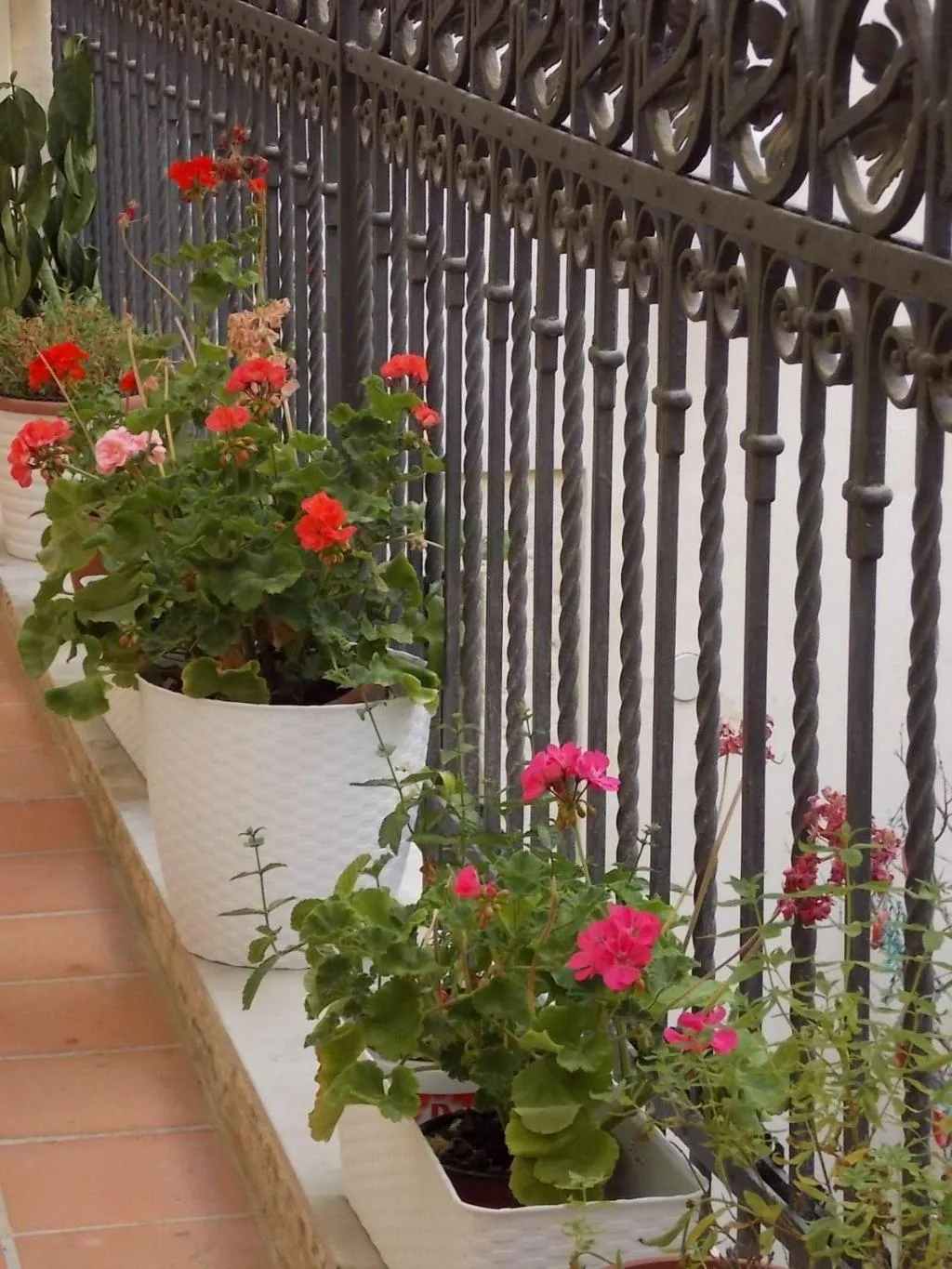 Terrace, B B Casa D Alleri, Catania