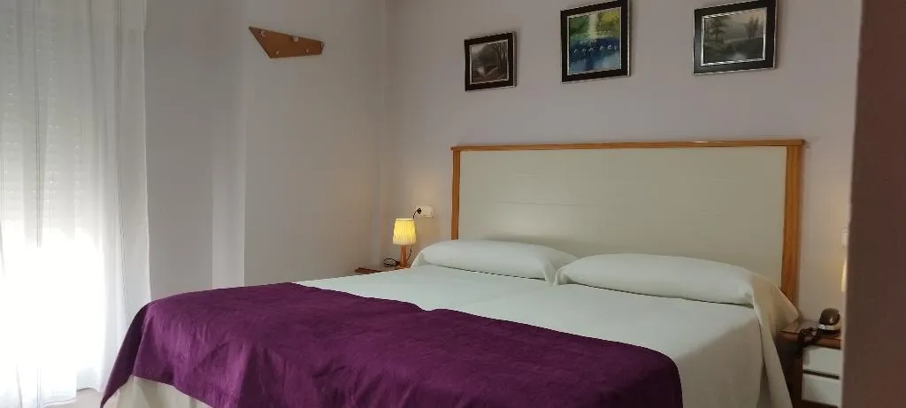 DOUBLE SINGLE USE STANDARD Room, Hotel Miraya, Costa Del Sol