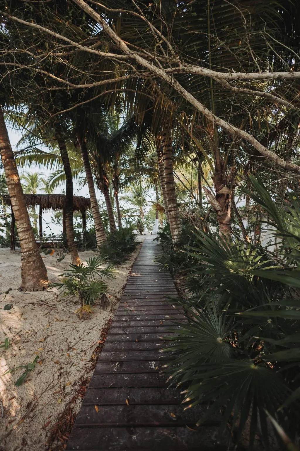 Terrace, Hotel Las Nubes Holbox, Cancun Area