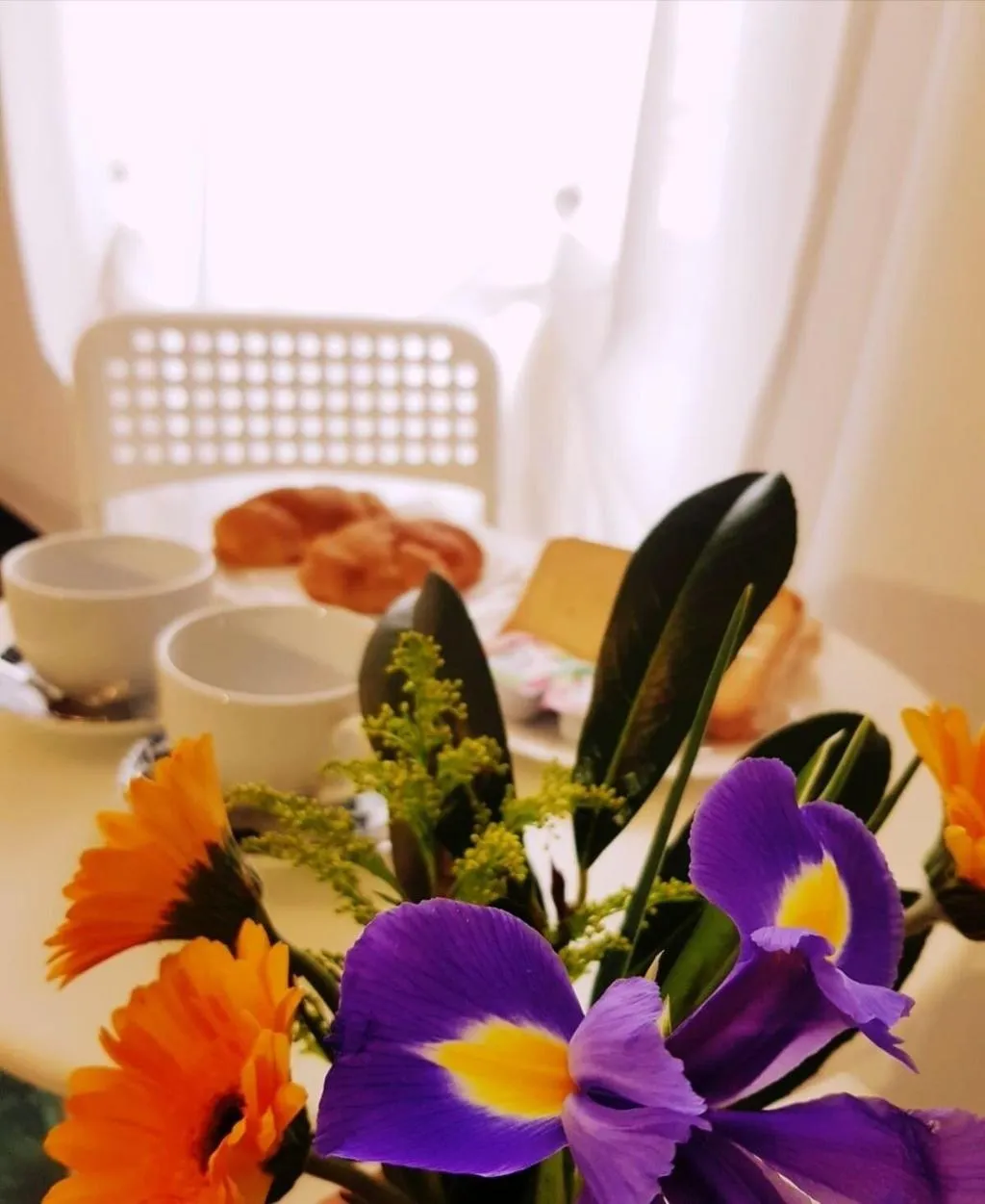 Room, Big Fish, Alghero