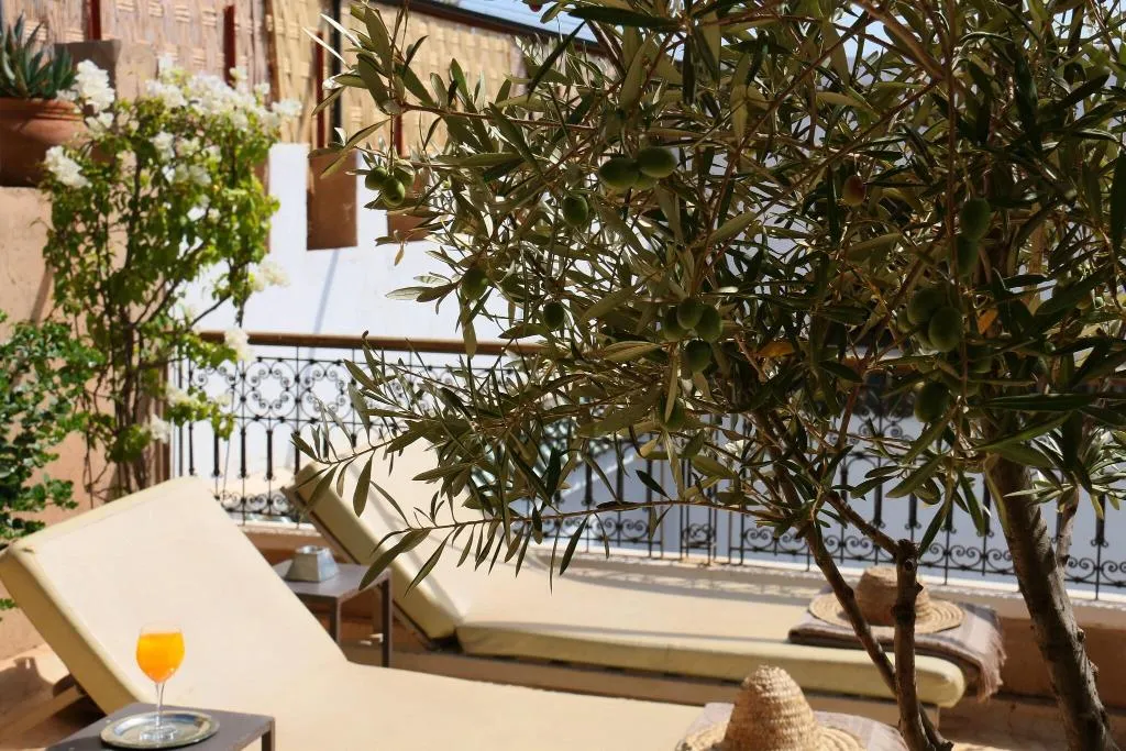 Terrace, Riad Dar Massai, Marrakech