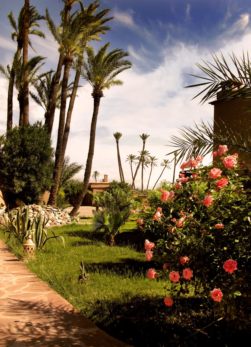 General view, Jnane Allia, Marrakech