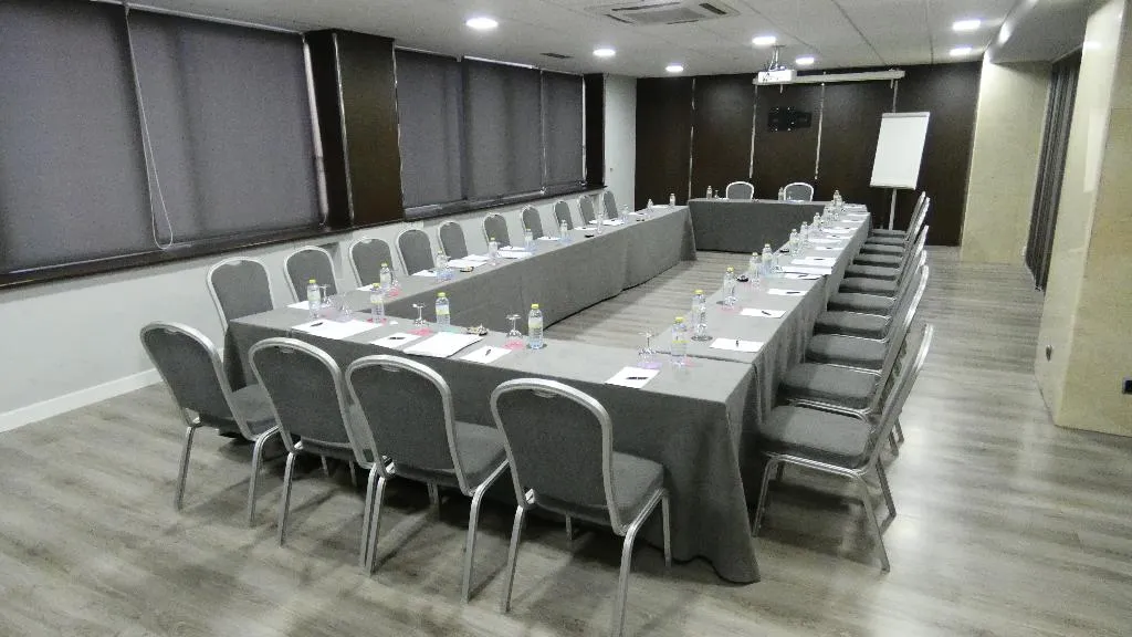 Conferences, Hotel Chamartin the One, Madrid