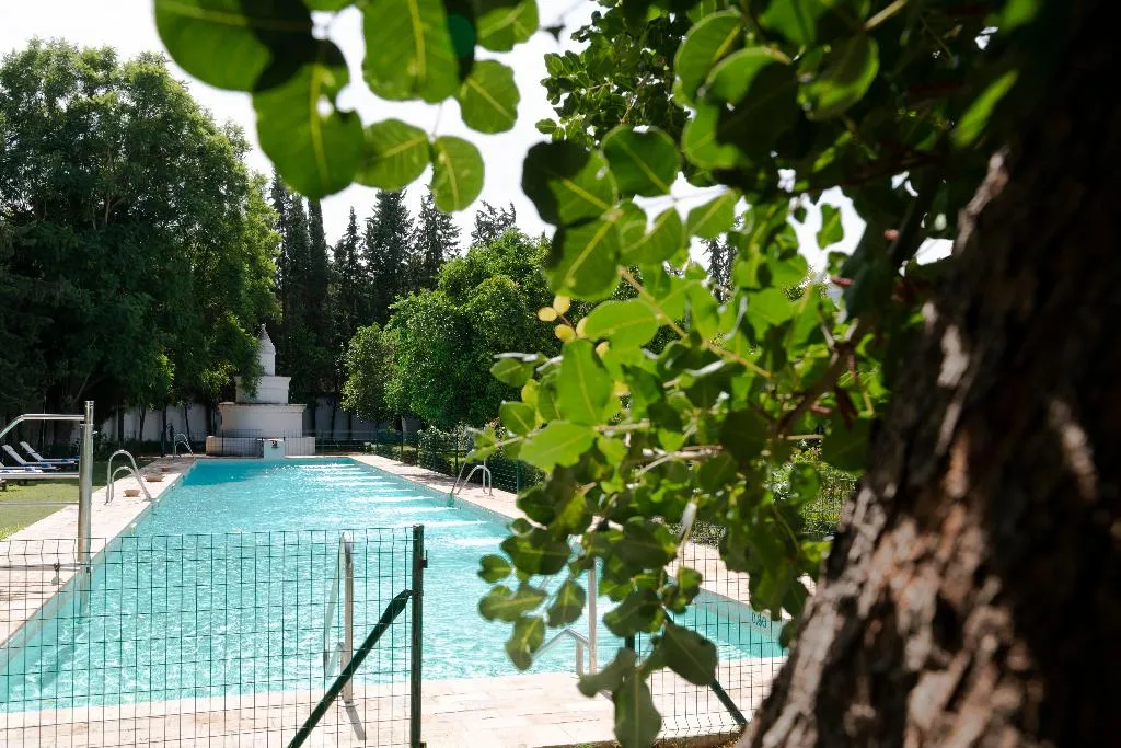 Pool, Monasterio de San Francisco, Costa Del Sol