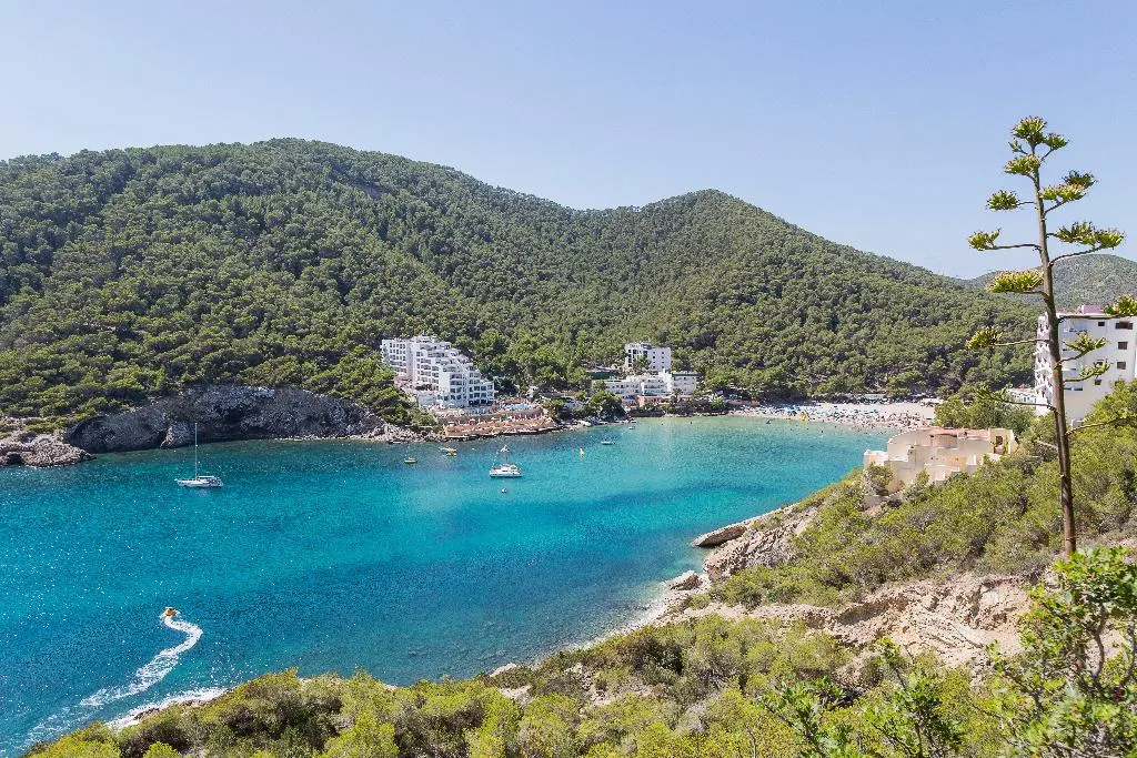 Beach, Palladium Hotel Cala LLonga, Ibiza