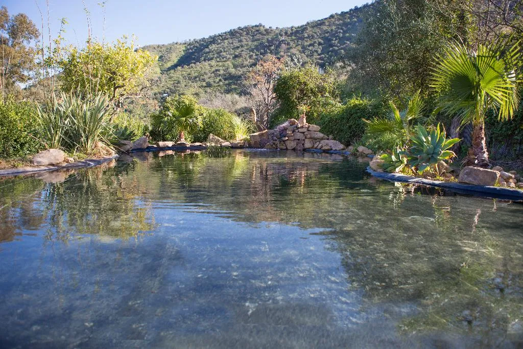 Terrace, Hotel Cortijo San Antonio, Costa Del Sol
