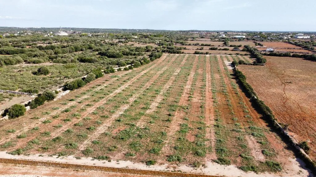 General view, Agroturismo Son Juaneda, Menorca
