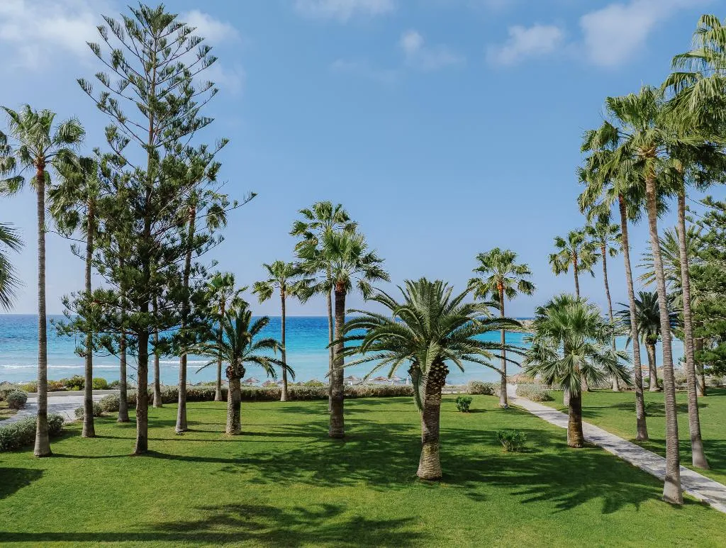 SUITE BEACH FRONT Room, Nissi Beach, Cyprus