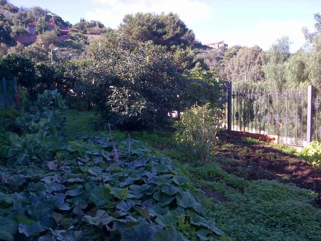 General view, RK El Cabo Cottage, Gran Canaria