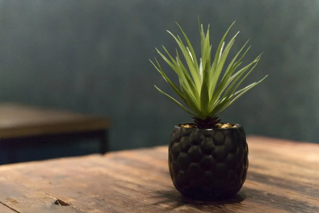Restaurant, Petit Palace Canalejas, Seville