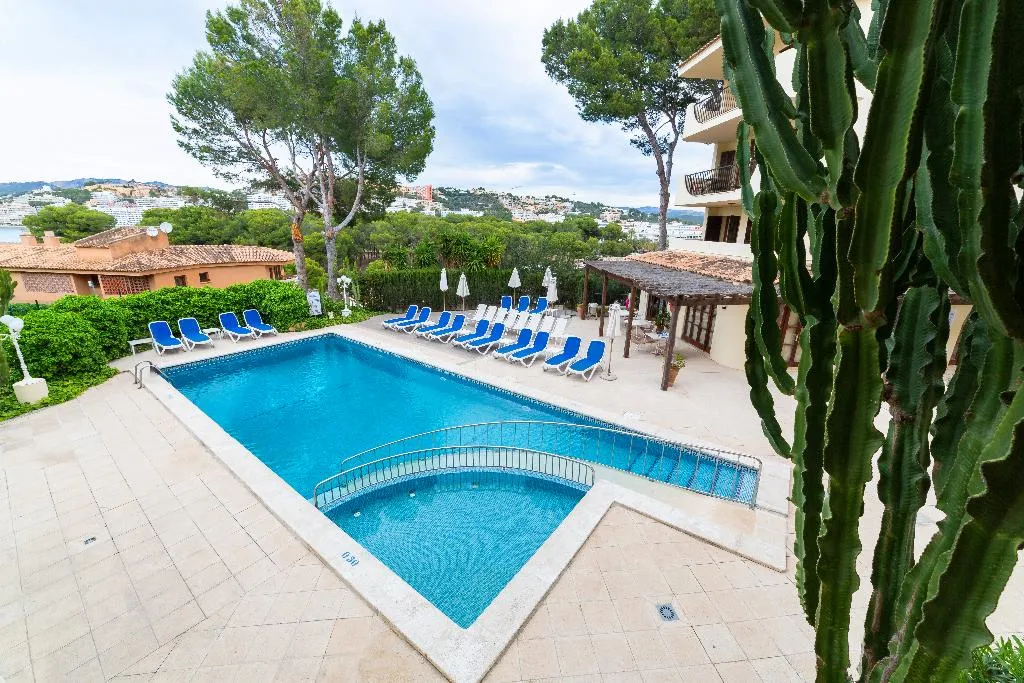 Pool, Apartamentos Casa Vida, Majorca