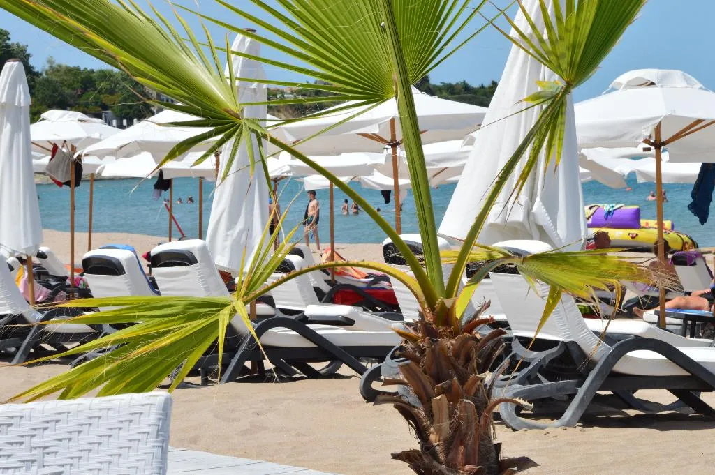 Beach, Oasis Resort & Spa, Bourgas