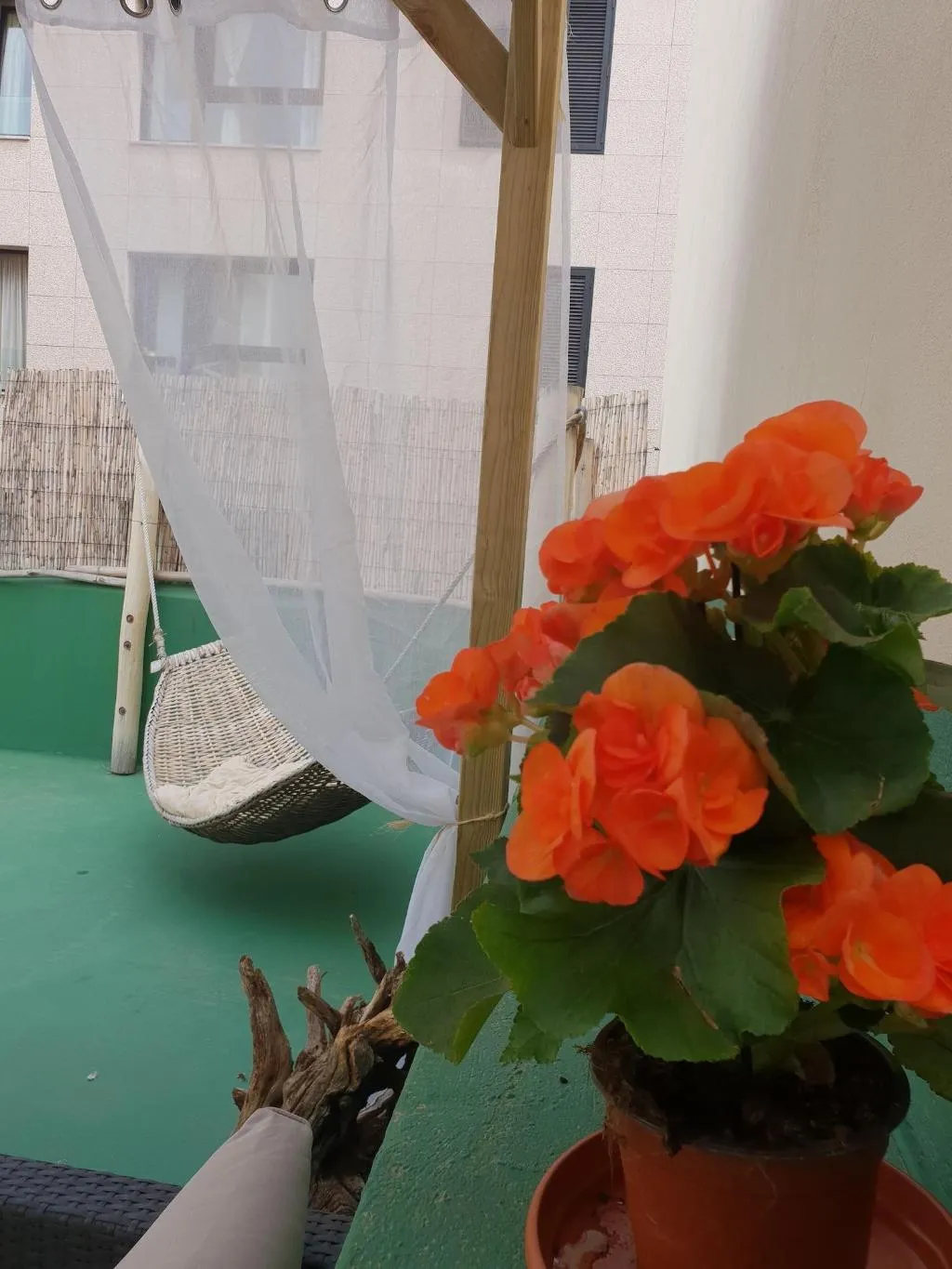Room, Cactus Host, Gran Canaria
