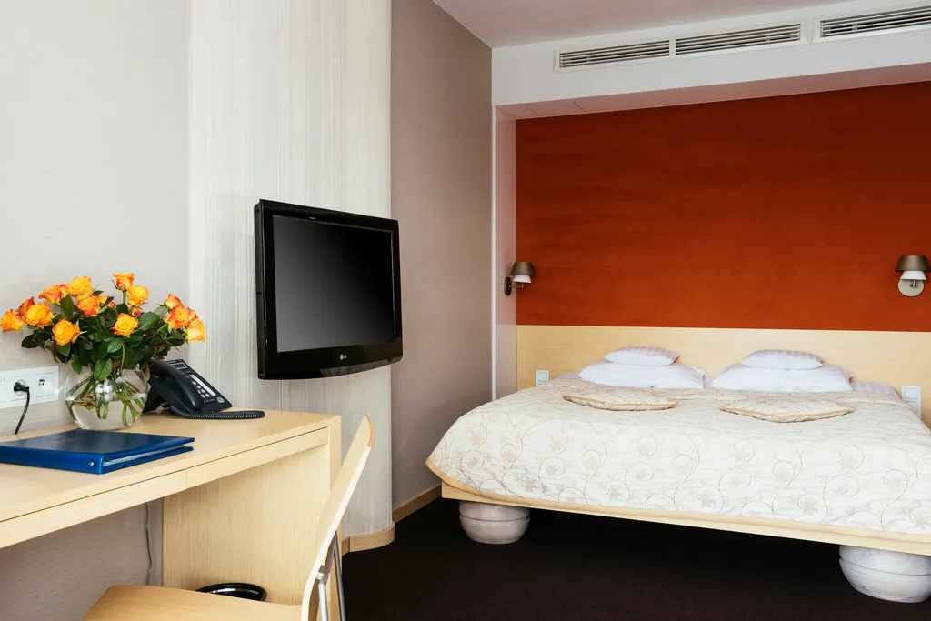 DOUBLE STANDARD Room, Hotel Niebieski Art Hotel & Spa, Krakow