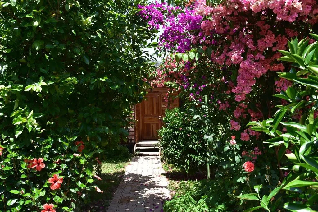 General view, Lemon Garden Lodge, Antalya