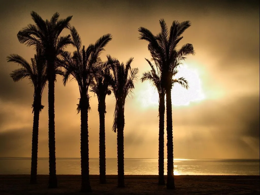 General view, Estrella de Mar, Costa Almeria