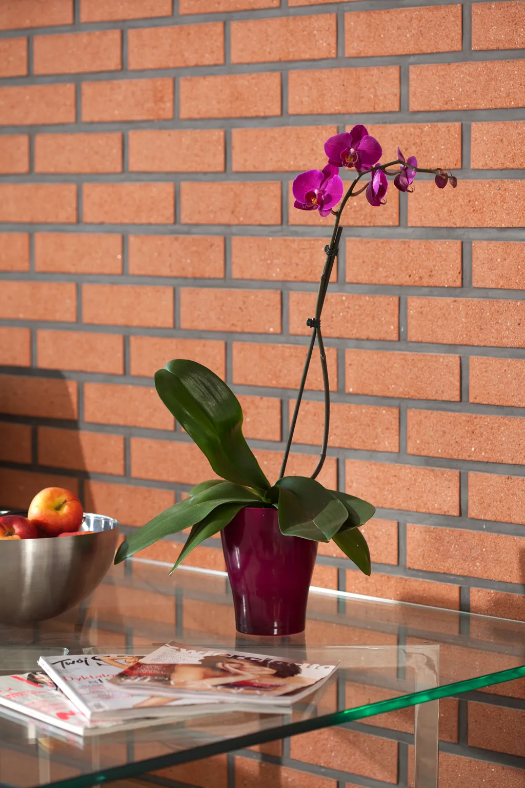 Lobby, Dom & House – Apartmenty Waterlane, Gdansk