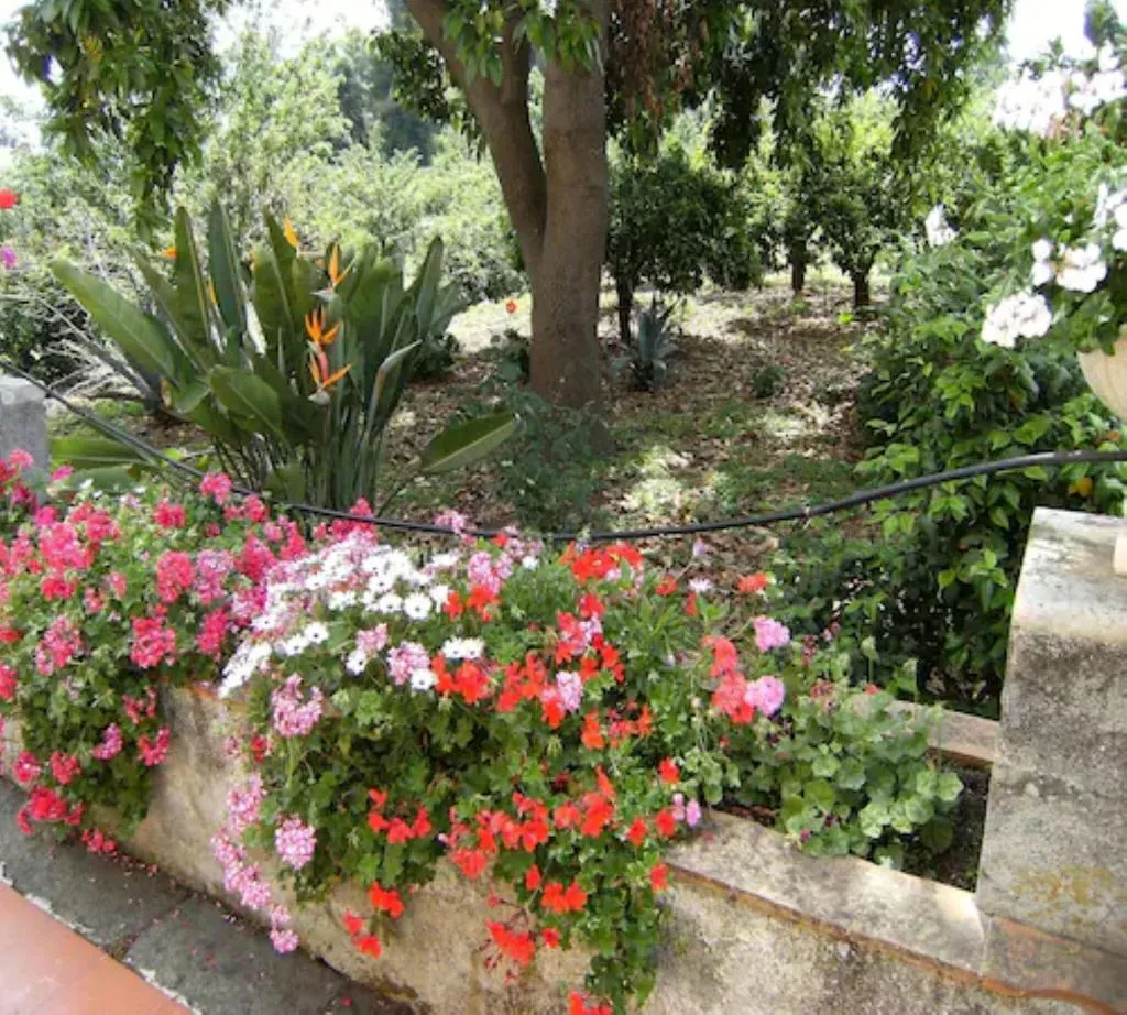 Terrace, Baglio delle Rose, Catania