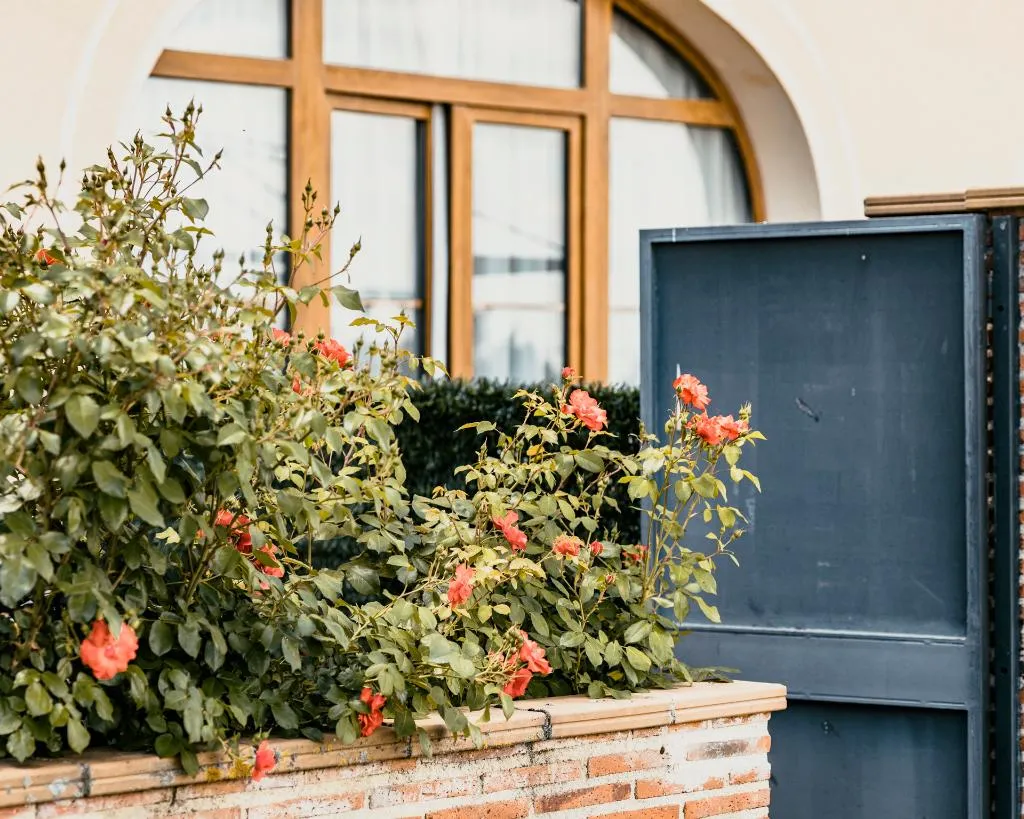 TWIN CLASSIC WITH TERRACE Room, Candido, Madrid