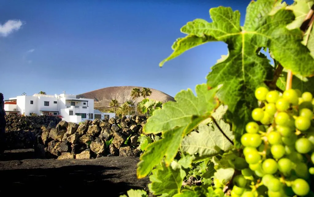 General view, Finca La Florida, Lanzarote