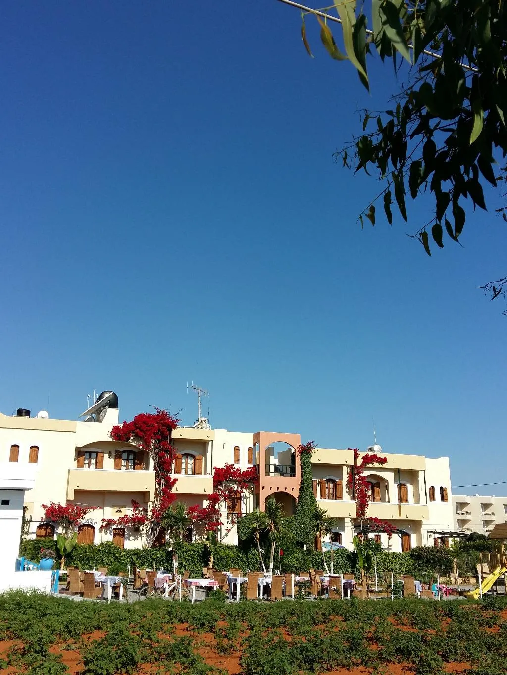 General view, Mila malia studios hotel, Crete