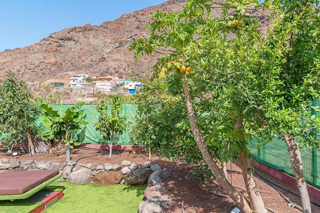 General view, Sol Mogán Suites, Gran Canaria