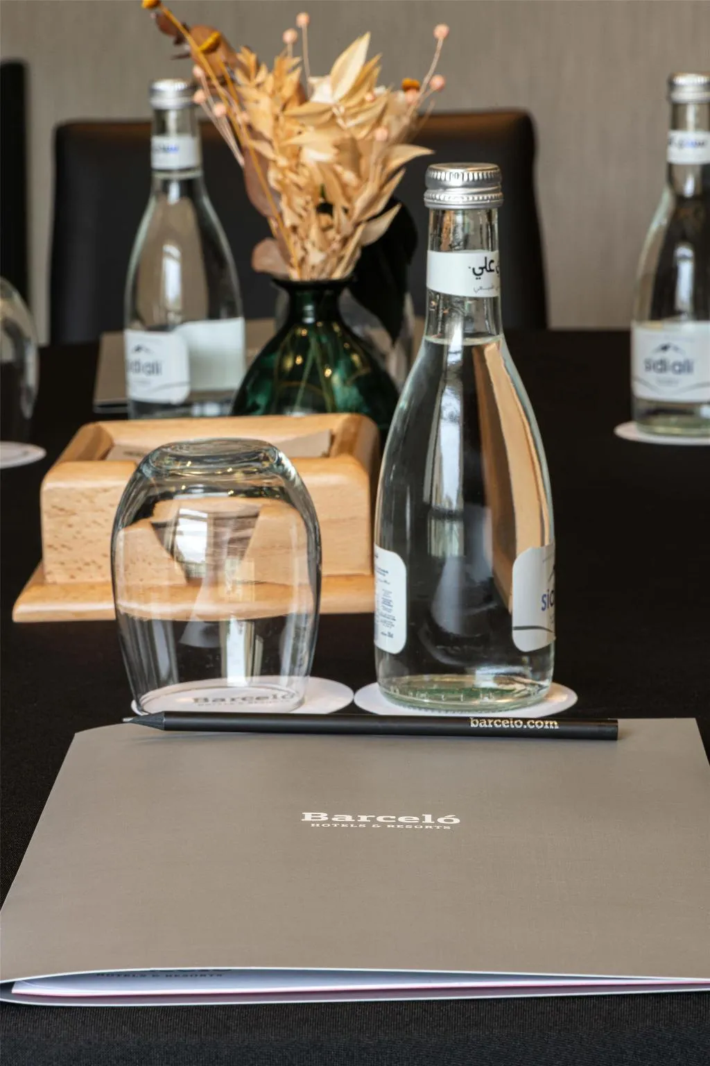 Conferences, Barcelo Fes Medina, Fez