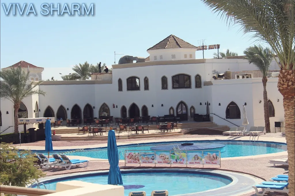Pool, Viva Sharm Hotel, Red Sea Riviera