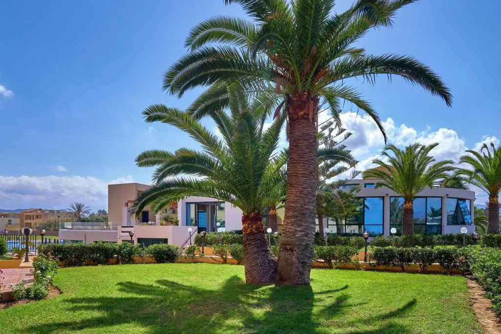 Terrace, Silver Beach, Crete
