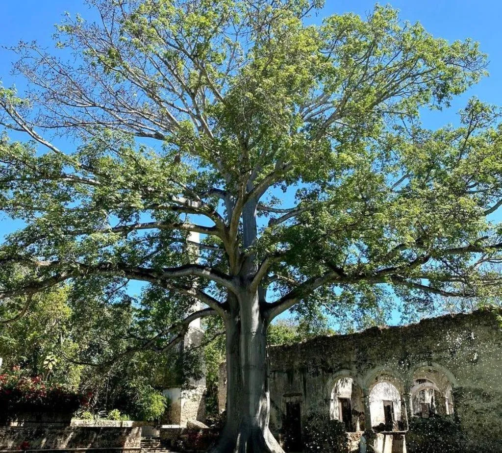 General view, Hacienda Uayamon, Cancun Area
