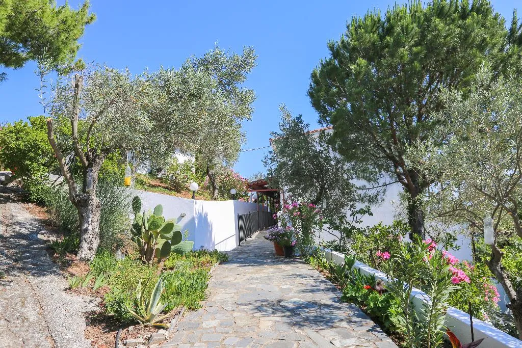General view, Angelina Studios, Skiathos