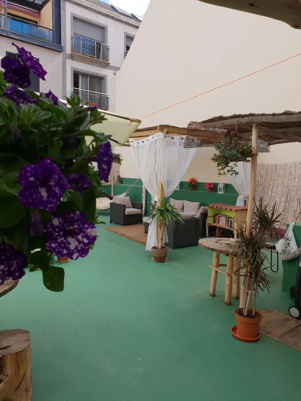 Room, Cactus Host, Gran Canaria