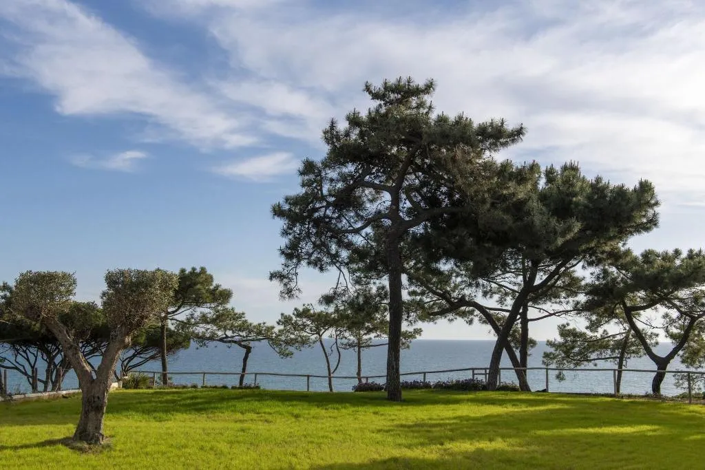 General view, W Residences Algarve, Algarve