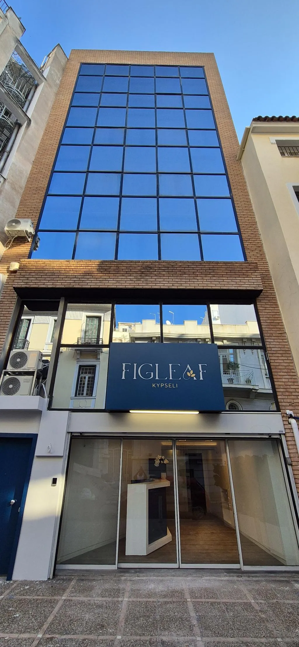 General view, Figleaf Kypseli, Athens