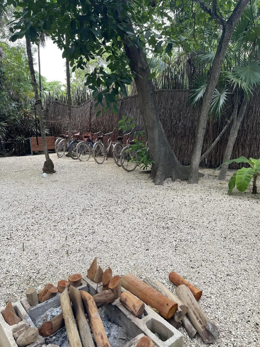 Sports and Entertainment, Origen Tulum, Cancun Area