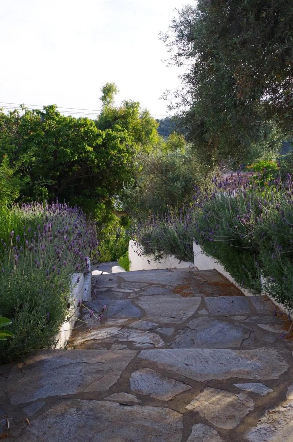 General view, Esperos Studios, Skiathos