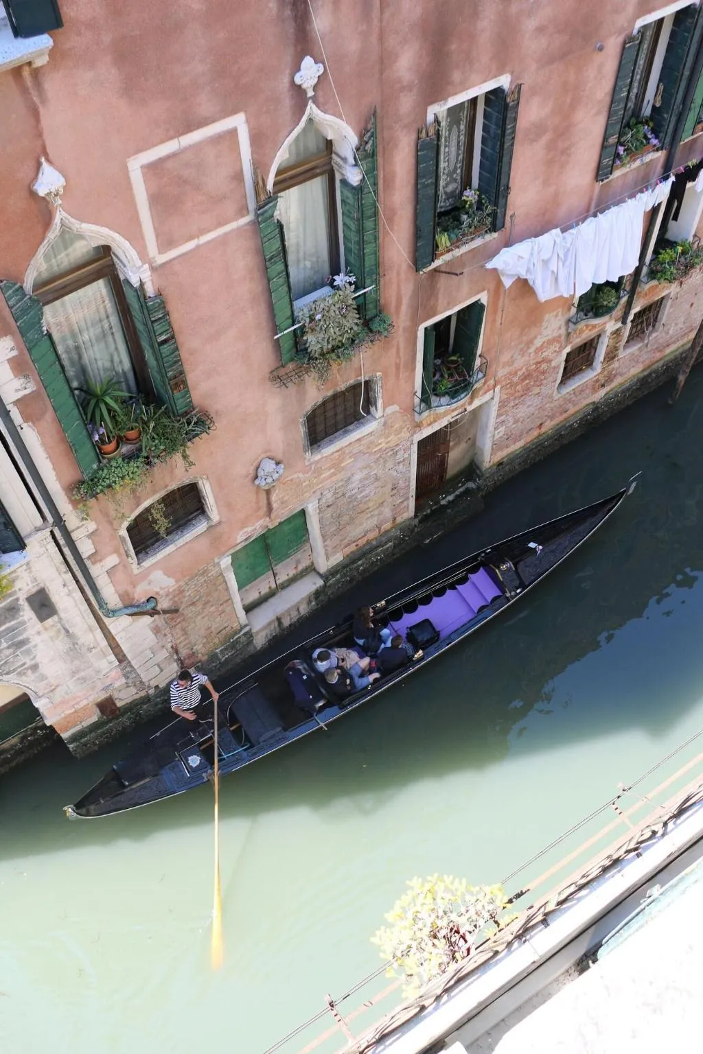 General view, Boutique San Marco, Venice