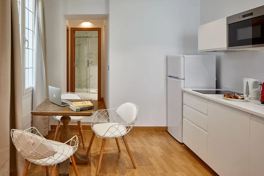 APARTMENT ONE BEDROOM Room, Lodgingmalaga Plaza de la Constitucion, Costa Del Sol