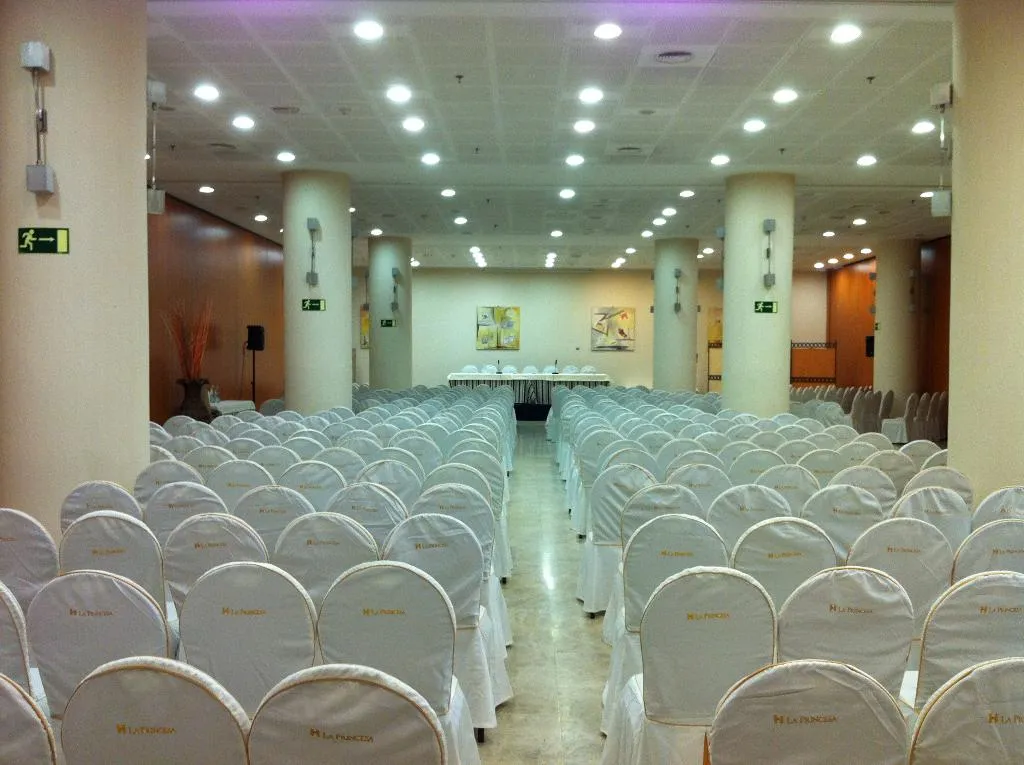Conferences, Hotel La Princesa, Madrid