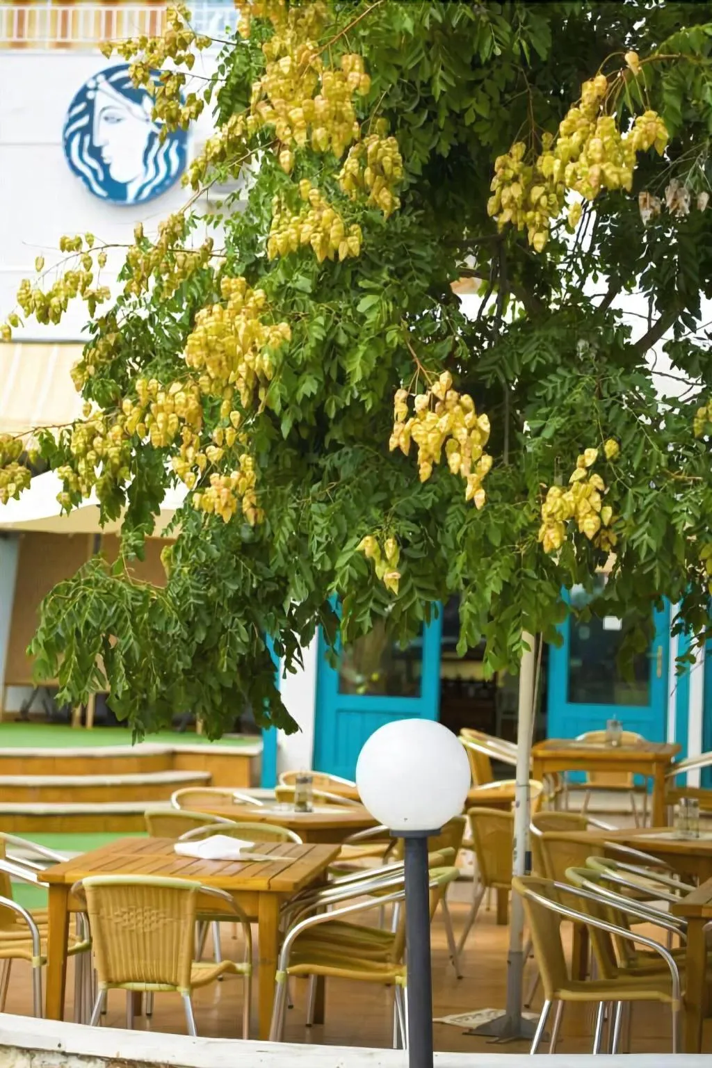 Conferences, Kaliopa, Varna