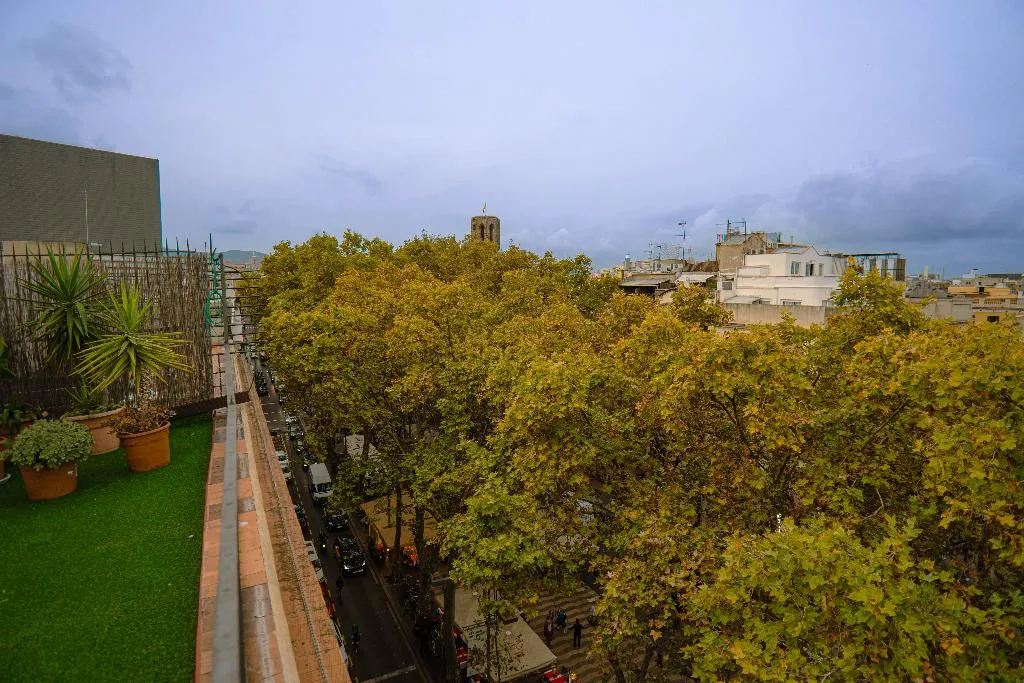 General view, Smartr Barcelona Ramblas, Barcelona