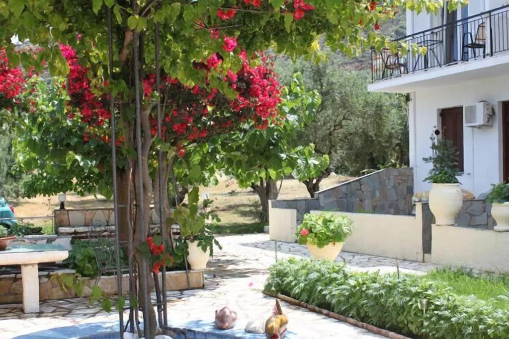 Terrace, Ballas Apartments, Kefallinia