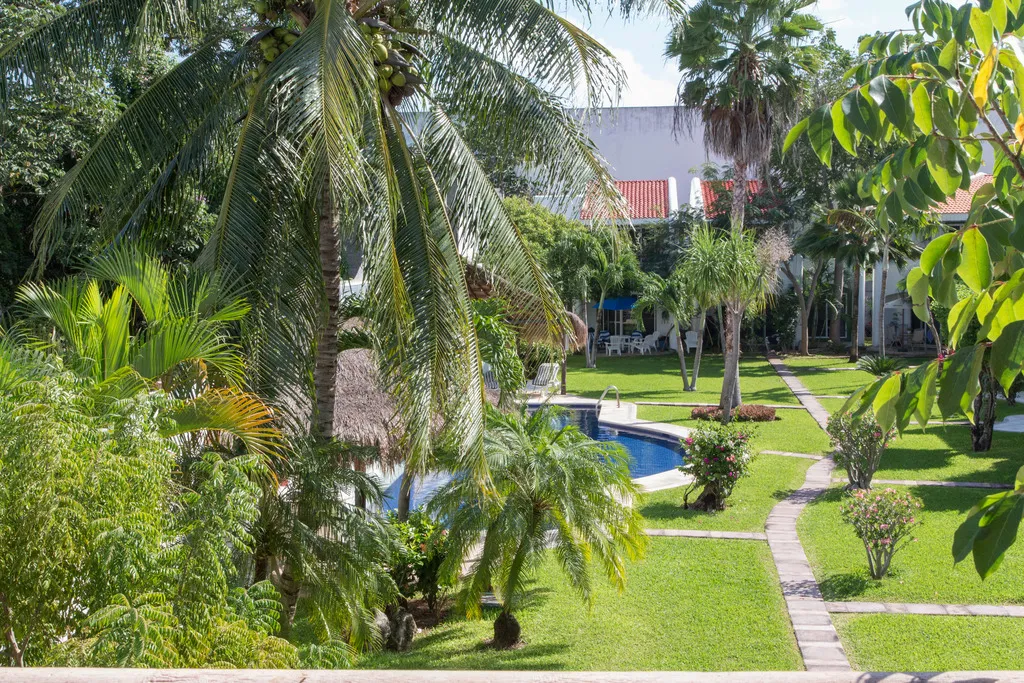 Pool, Playa On Time, Playa Del Carmen