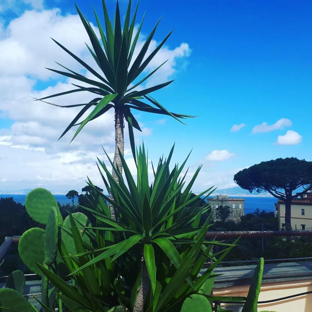 Terrace, Seven Hostel, Naples