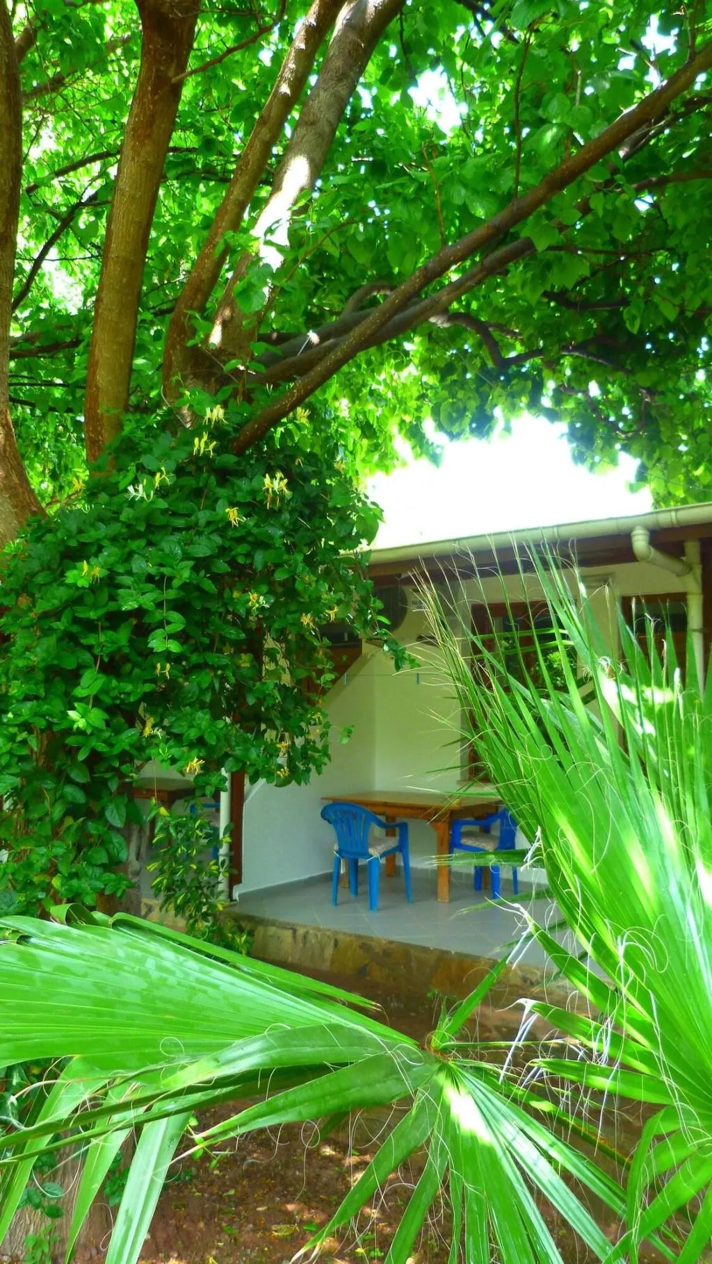 General view, Simge Pension, Antalya