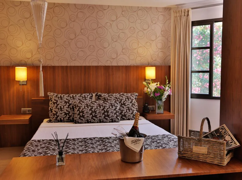 DOUBLE SUPERIOR Room, Torbahan Hotel, Bodrum