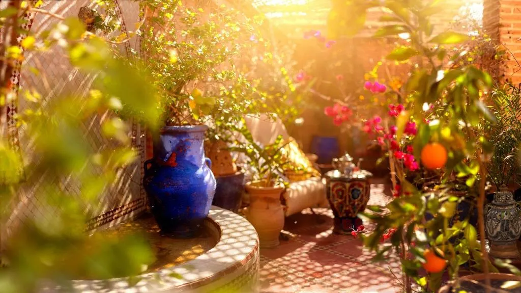 Terrace, Riad Persephone, Marrakech